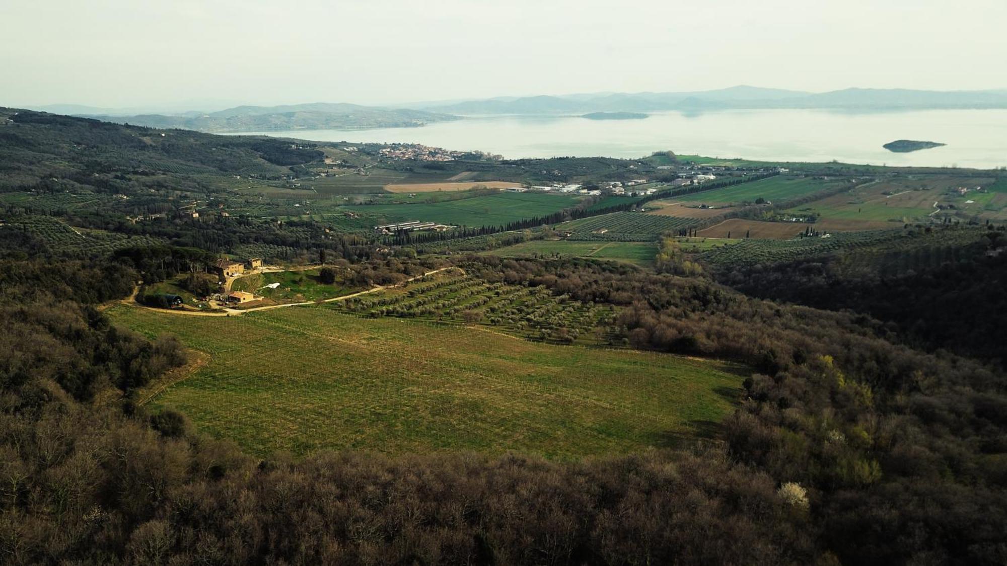 Di Colle In Colle - Agriturismo Villa Passignano sul Trasimeno Exterior photo